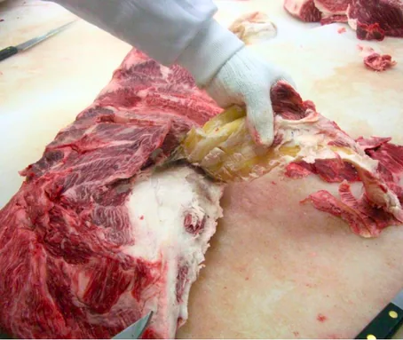 การตัดแต่งเนื้อวากิวในโรงงาน