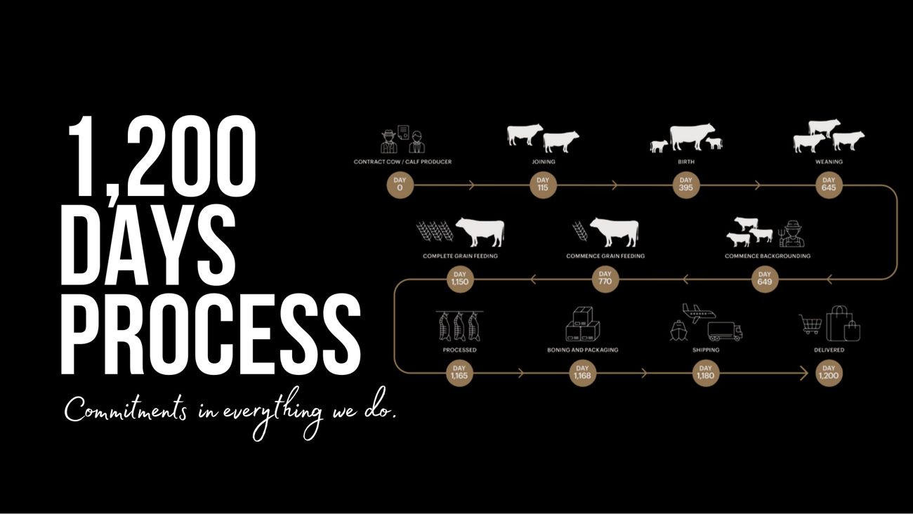 1,200 Days Process
