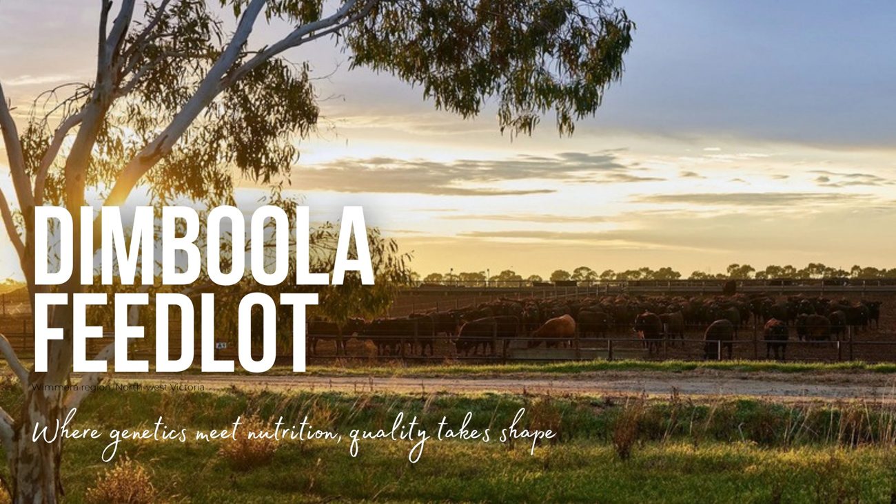Dimboola Feedlot รัฐวิกตอเรีย
