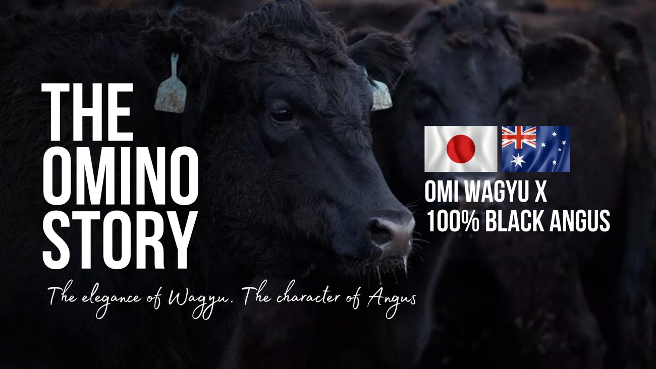 The Omino Story — Omi Wagyu x 100% Black Angus